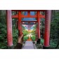 Купить The One Hundred Torii The One Hundred Torii