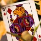 Гральні карти Theory 11 — Animal Kingdom
