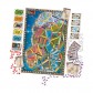 Ticket to Ride: Northern Lights