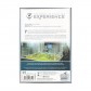 TIME Stories Revolution: Experience