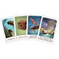 Timeline: Classic Eco Blister