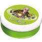 Timeline: Inventions Eco Blister