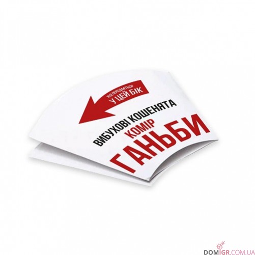 Вибухові кошенята: Сингулярні кошенята (укр.)