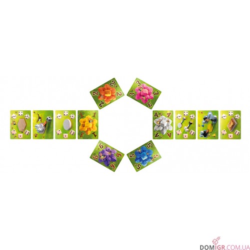 Waggle Dance