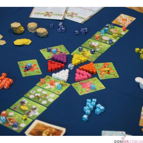 Waggle Dance