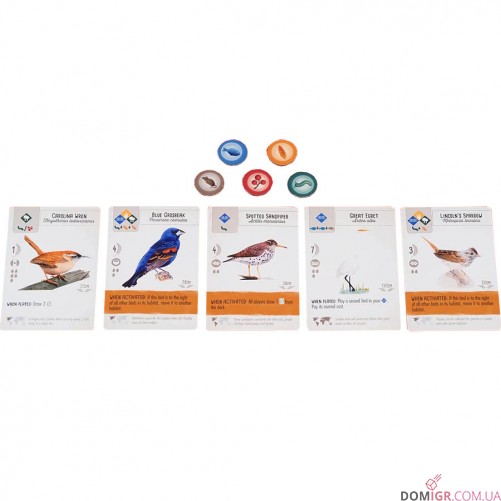 Wingspan