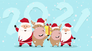 С НОВЫМ ГОДОМ И РОЖДЕСТВОМ! ГРАФИК РАБОТЫ МАГАЗИНА