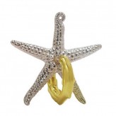 Морська Зірка 2* - головоломка