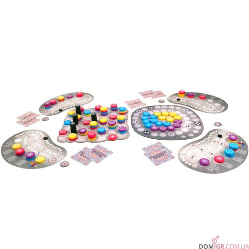 Mandala Stones