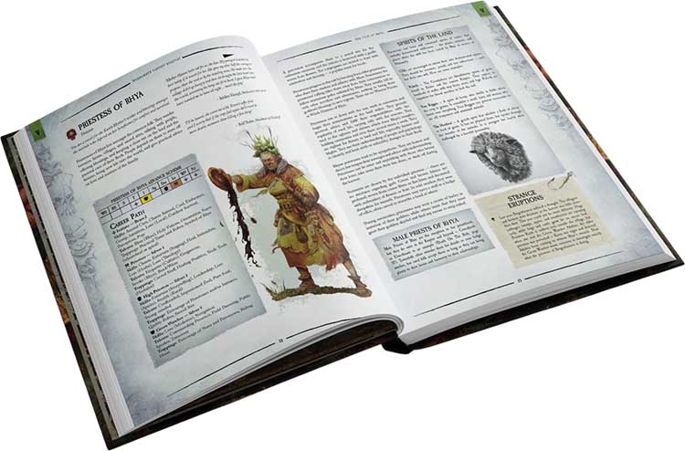 Купить расширение к настольной ролевой игре Warhammer Fantasy Roleplay: Archives of the Empire 3