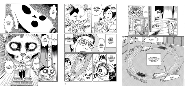 Манга «Котячий щоденник Джюнджі Іто : Йон та Му»