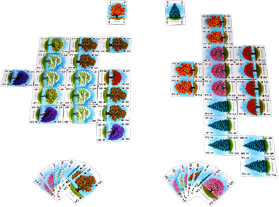 Настольная игра Арборетум на украинском