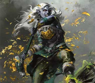 Dungeons & Dragons RPG — Player's Handbook 2024