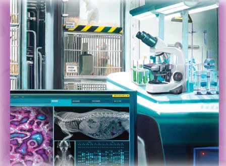 Купить настольную игру Шерлок: Код «Червоний»