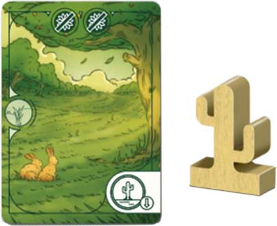 Купити доповнення Evergreen: Сосни та кактуси