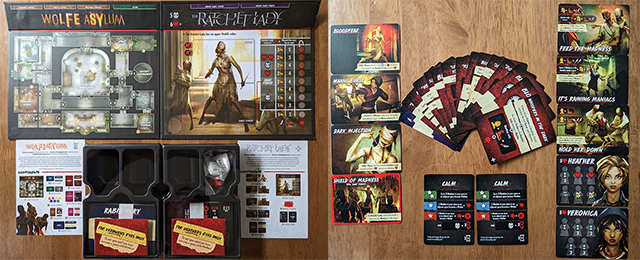 Дополнение Final Girl: Madness in the Dark