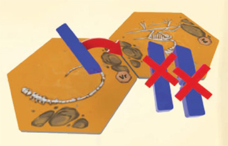 Настольная игра Jurassic Parts