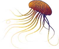 Купити доповнення Келп: Акула проти восьминога — блискавичні рефлекси