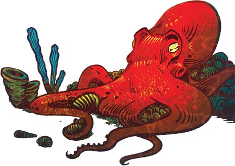Купить настольную игру Kelp: Акула проти восьминога