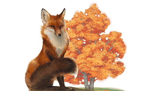 Купить настольную игру Лис та Ліс