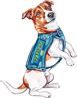 Купить настольную игру Парк собак