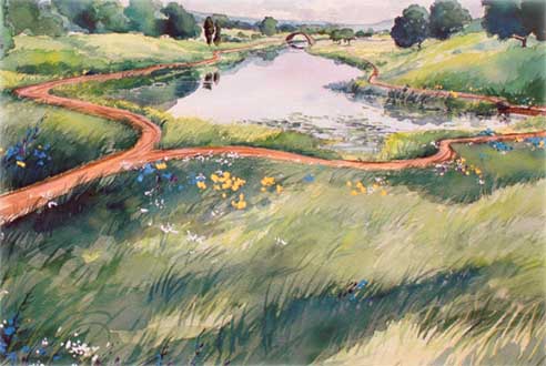 Купить настольную игру Парк собак