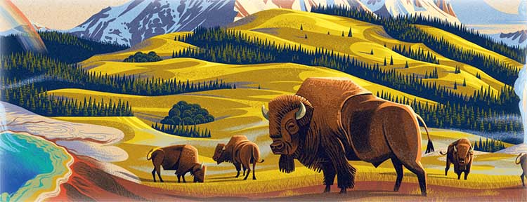 Купити настільну гру Парки