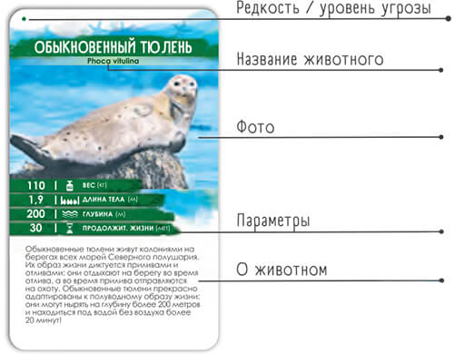 Секреты Планеты: Морские обитатели