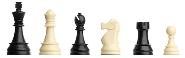 Шахматы DGT Chess Starter Box