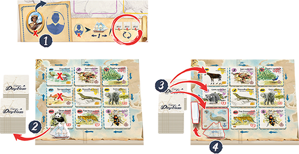 Настільна гра Слідами Дарвіна українською мовою