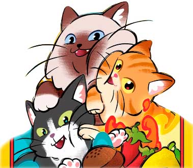 Купить настольную игру Sweet & Spicy: Битва котиків