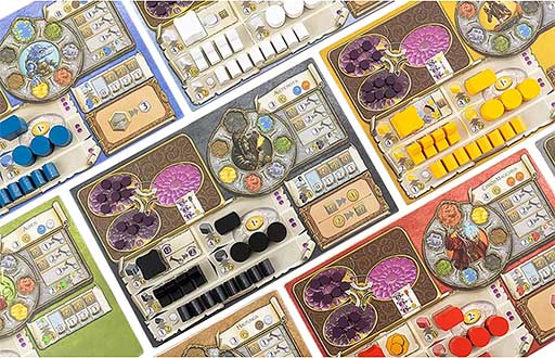 Купити настільну гру Terra Mystica: Big box