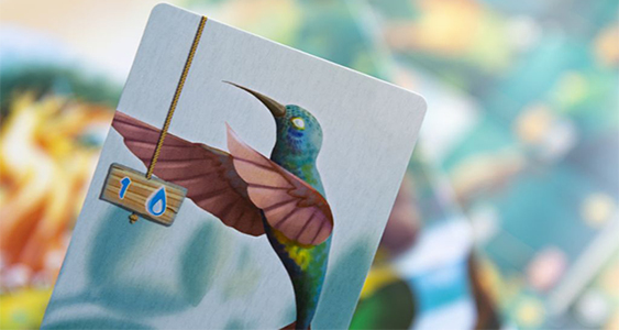 Настольная игра Живий Ліс, Living Forest