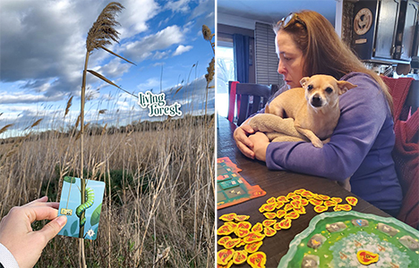 Настольная игра Живий Ліс, Living Forest