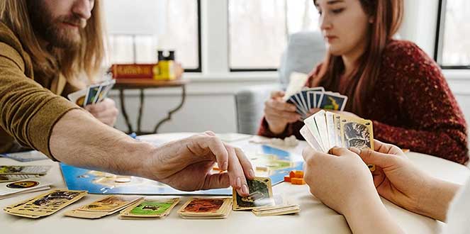 The Settlers of Catan 5 & 6 Player Extension